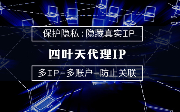 【苍南代理IP】服务器代理ip如何选择？如何挑选服务器代理商